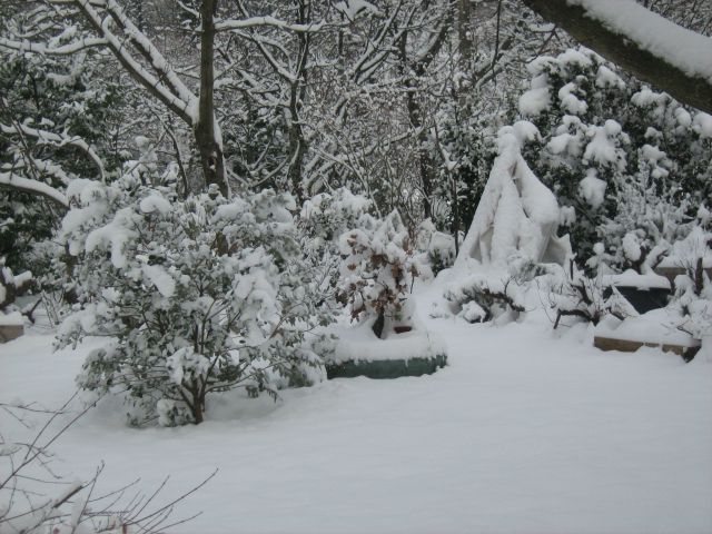 Zima 19. 12. 2010 - foto