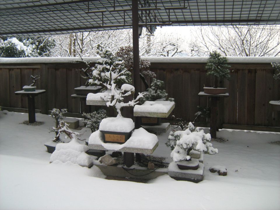 Zima 19. 12. 2010 - foto povečava