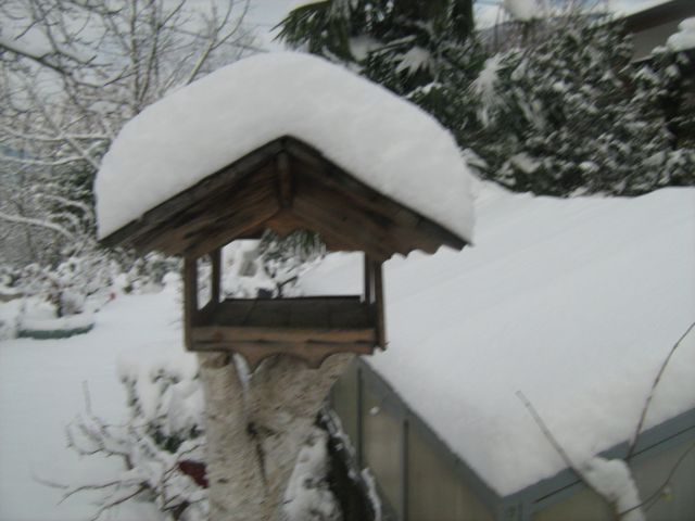 Zima 19. 12. 2010 - foto