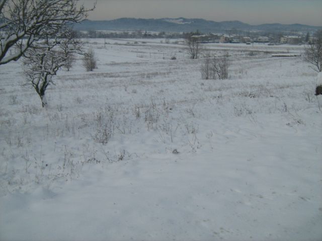 Zima 19. 12. 2010 - foto