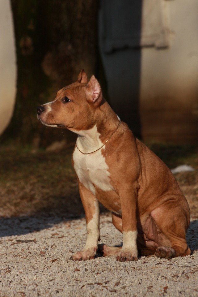 Jolly & Dixi - foto povečava