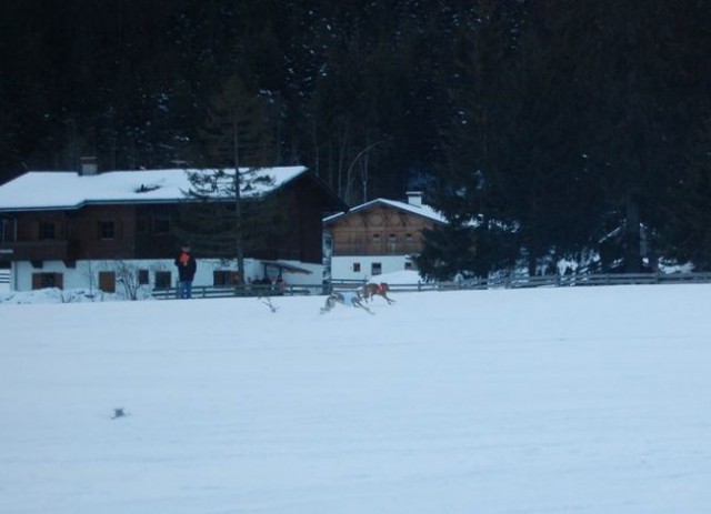 Snežni coursing Neustift im Stubaital 2008, A - foto