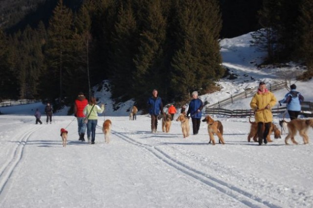 Snežni coursing Neustift im Stubaital 2008, A - foto