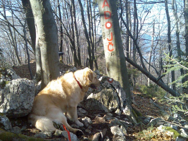 Oskar-feb,mar - foto povečava