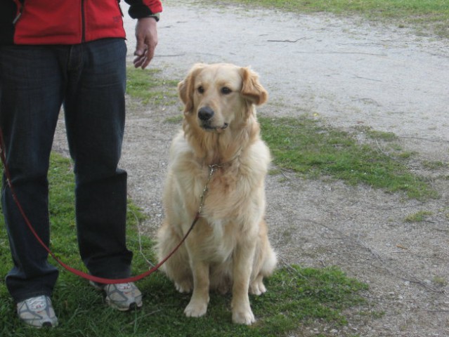 Oskar šola 16.4.08 - foto