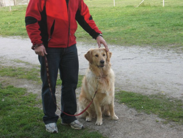 Oskar šola 16.4.08 - foto