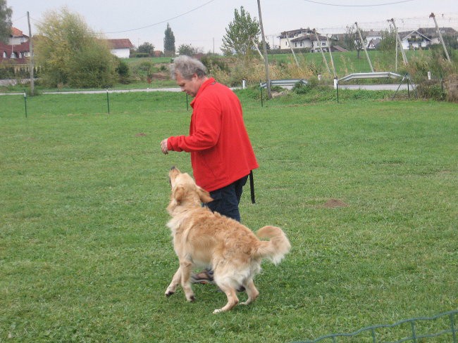 Oskar škd Celeia - 2.10.08 - foto povečava