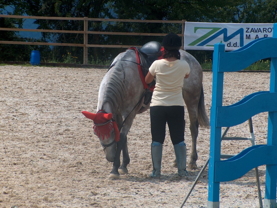 Kobila Aprila - foto povečava