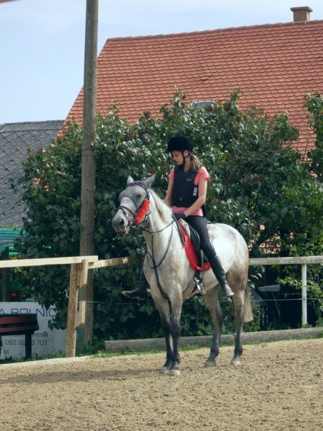Kobila Aprila - foto povečava
