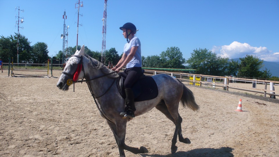 Kobila Aprila - foto povečava