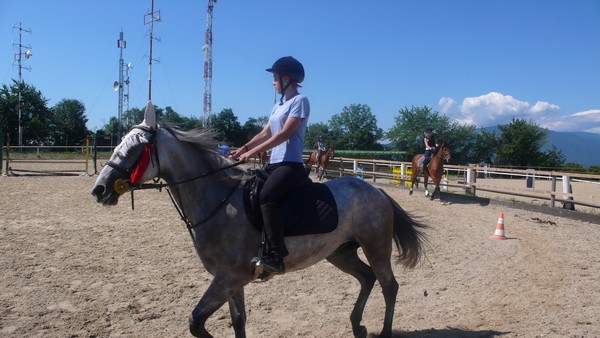 Kobila Aprila - foto povečava
