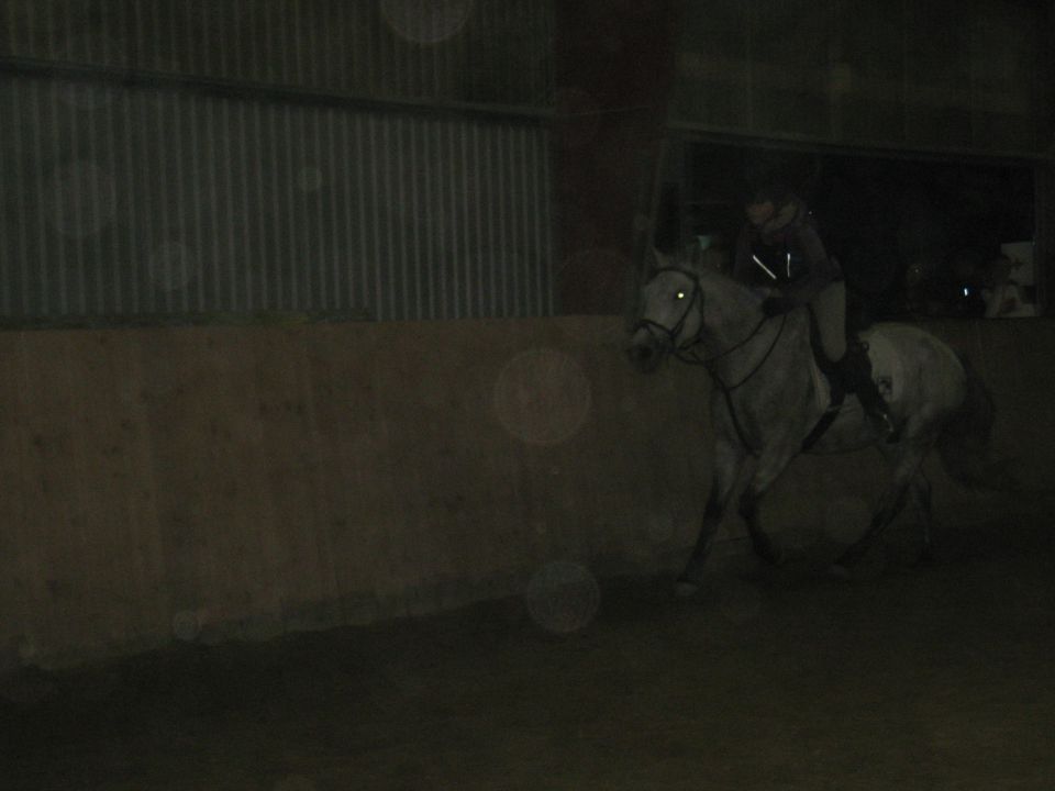 Kobila Aprila - foto povečava