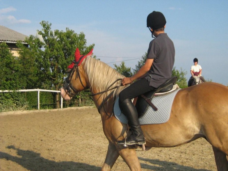 Kastrat Miško - foto povečava