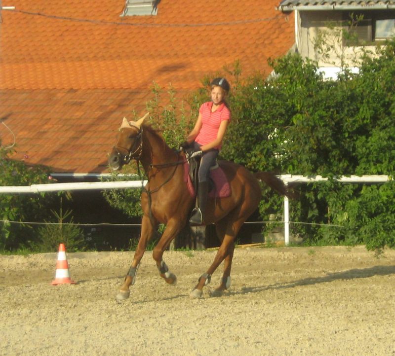 11.8.2009 - foto povečava