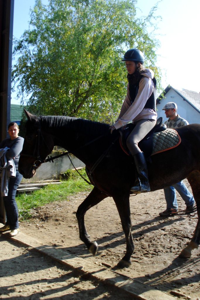 Kobila Electra - foto povečava