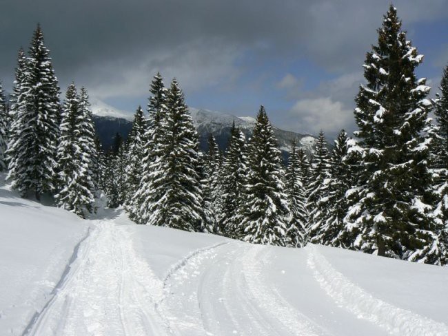 Na snegu - foto povečava