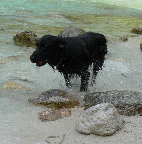 Bovec- julij - foto