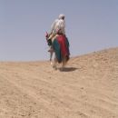 Sahara in osameli jezdec