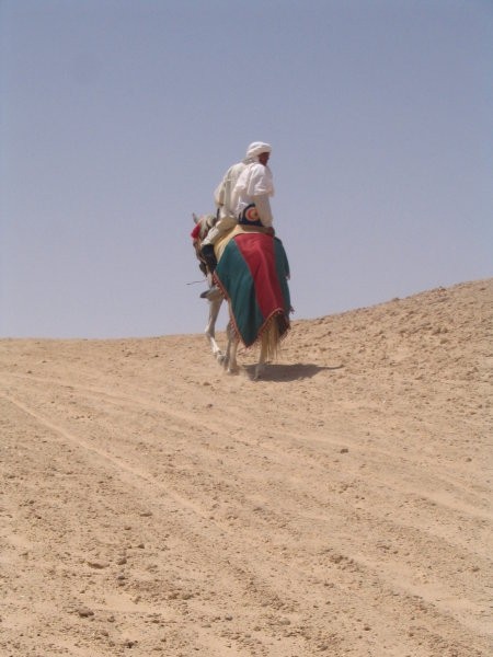 Sahara in osameli jezdec
