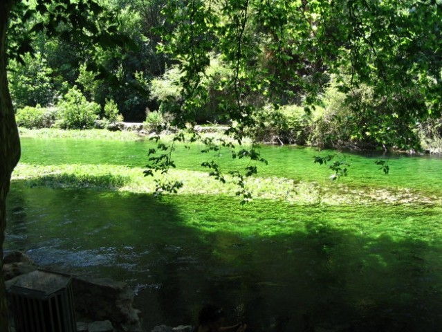 Krasna zelena reka
