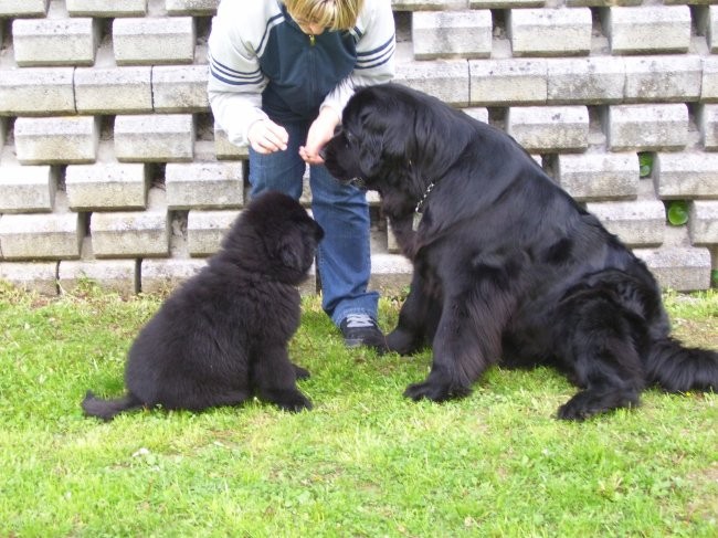 02.05.2008
odšli smo na poligon, da se malo učim vaje poslušnosti