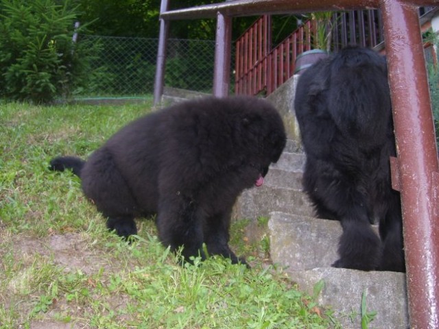 25.06.2008
čakaj me Sona