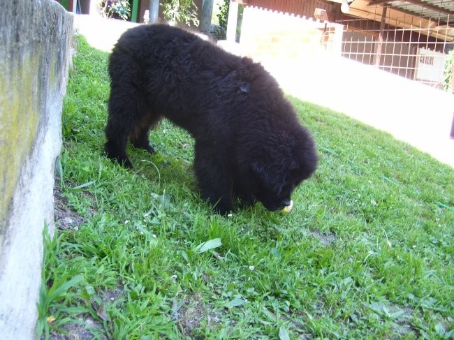 28.06.2008
uf, kako daleč šprica