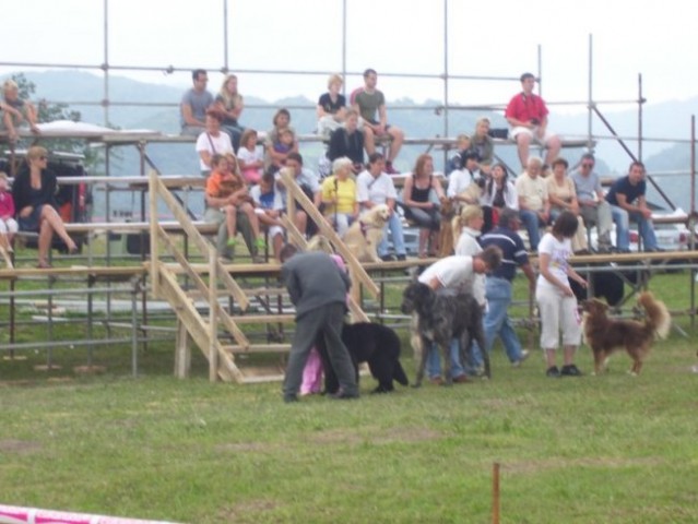 30.08.2008
CAC ZASAVJE
najlepši pes Zasavja