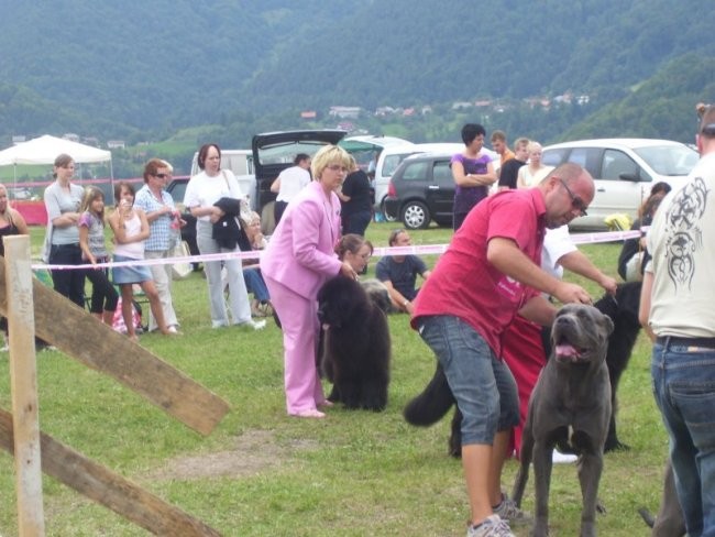 31.08.2008
CAC TRBOVLJE
najlepši pes Zasavja