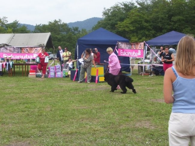 31.08.2008
CAC TRBOVLJE
najlepši pes Zasavja