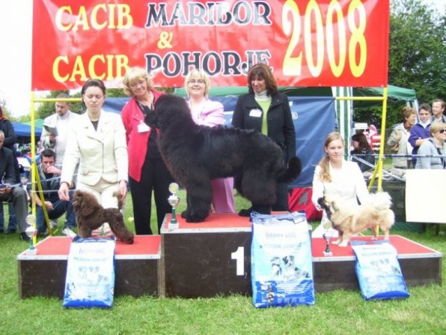 21.09.2008
CACIB POHORJE
BIS - 1.MESTO 