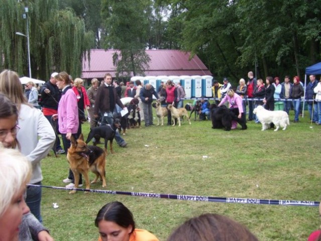 21.09.2008
CACIB POHORJE - PARI
pripravljalni krog