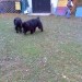 15.11.2008
malo je treba prevohati