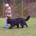 15.11.2008
poleg