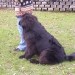 15.11.2008
sedi