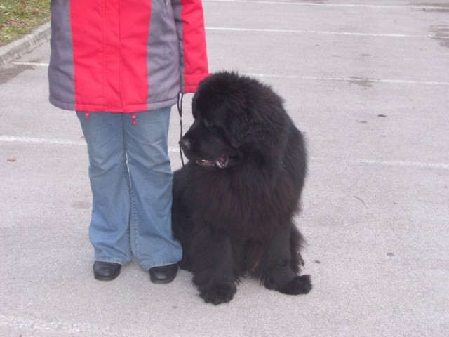 28.12.2008
malo posedim, potem pa grem