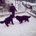 15.01.2009
preden se grem kopat, se bom še malo pozabaval  s Sono
