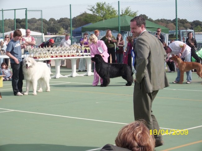 18.04.2009
CAC Rovinj
BIS - razred mladih