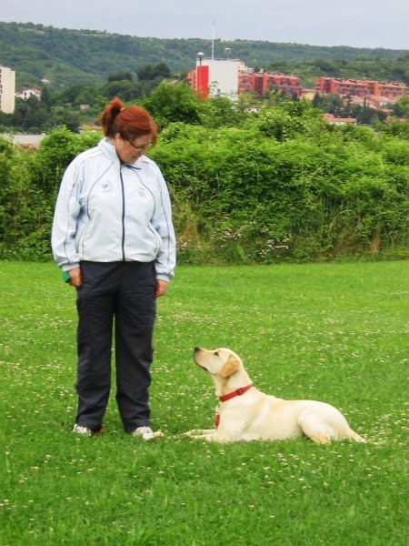 Mala šola, 14. junij 2008 - foto povečava