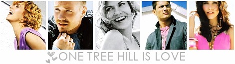 One tree hill - foto