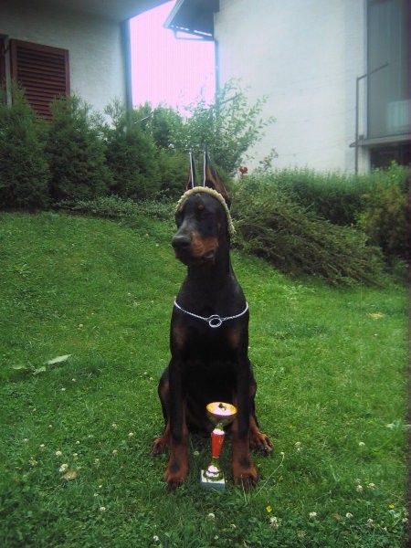 Pablo - foto povečava