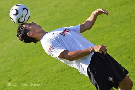 Trainings - foto povečava