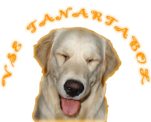 Razno - foto povečava