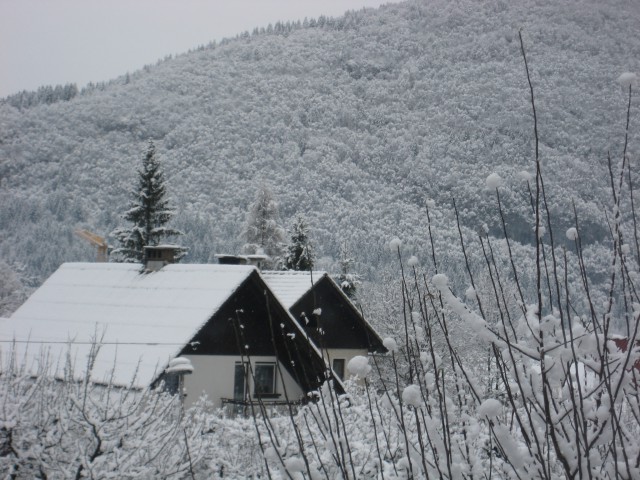 Bohinj in Bled - foto