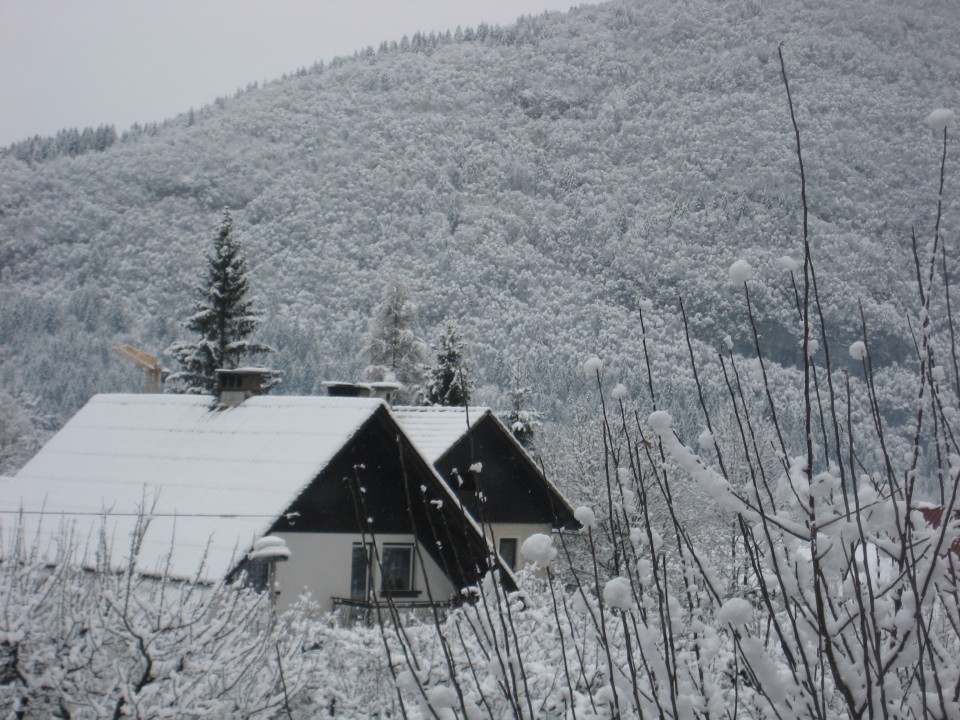 Bohinj in Bled - foto povečava