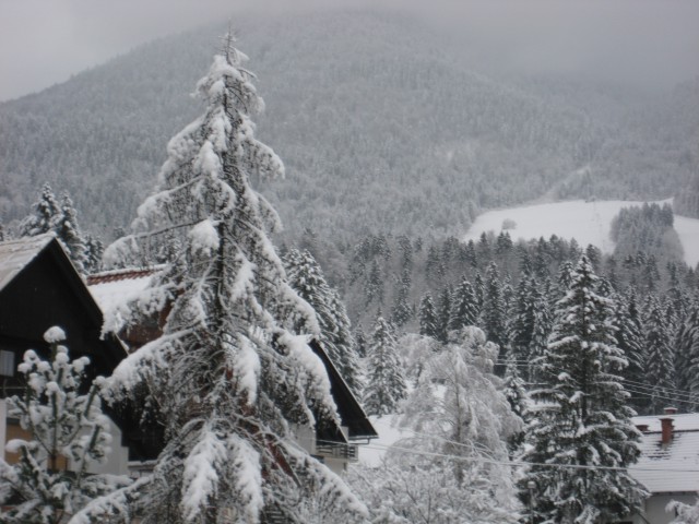 Bohinj in Bled - foto