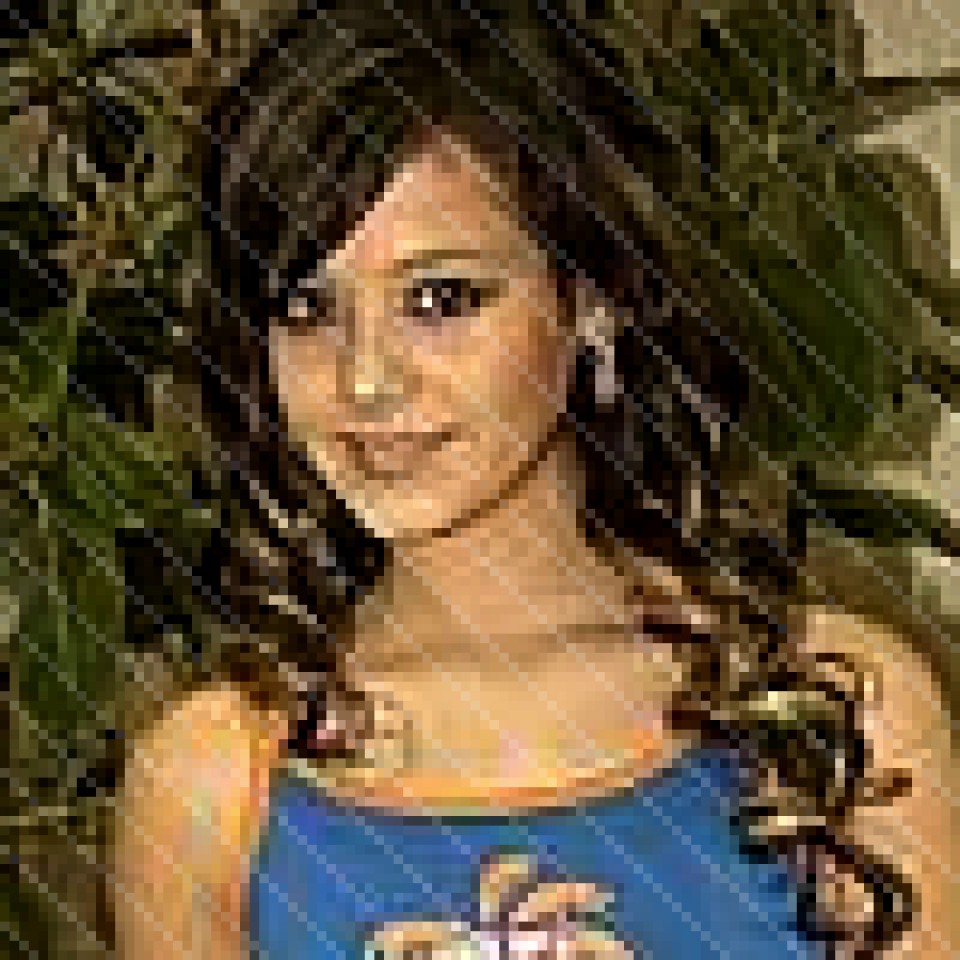 ALLISON-ICONS - foto povečava