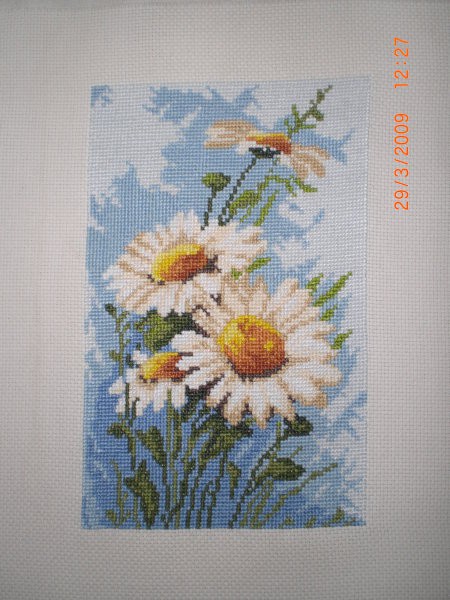 Marjetice (cca. 15x23 cm)