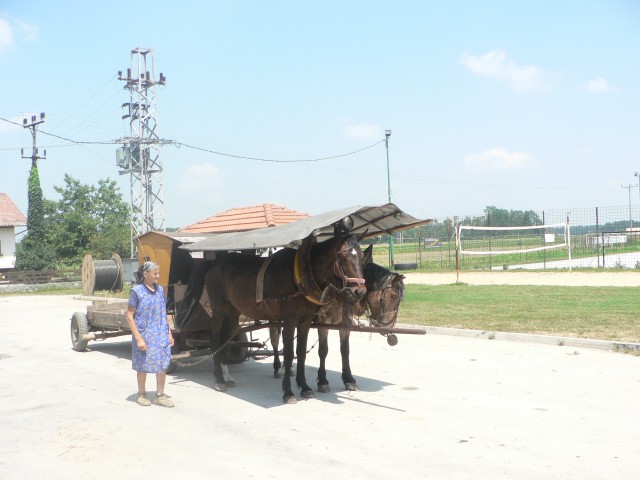 BOGDAN SLIKE - foto