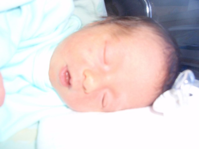 Lana spi v svoji posteljici v porodnišnici 25.8.2008